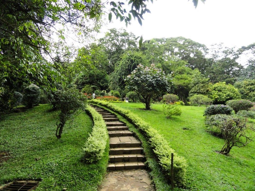 Settle Inn Tourist Lodge Kandy Zewnętrze zdjęcie